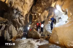 Une délégation d'experts de l'UNESCO a effectué du 6 au 9 juillet une visite sur le terrain. Photo : VNA