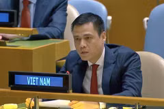 L'ambassadeur Dang Hoang Giang, chef de la Mission permanente du Vietnam auprès de l'ONU. Photo : VNA