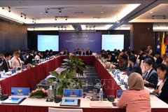 ARF: la 11e réunion du Groupe de travail de mi-mandat sur la sécurité maritime à Da Nang