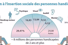 Soutien à l'insertion sociale des personnes handicapées