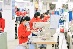 Textile et habillement : les entreprises développent leurs marques et profitent des opportunités du marché 