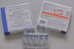 La communauté vietnamienne en Russie au chevet du Fonds de vaccins anti-COVID-19