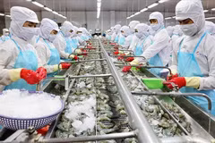 Produits aquatiques: s'orienter vers une exploitation et une production durables