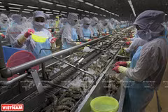 Vietnam : l’aquaculture sera un secteur économique national important