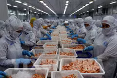 Exportations des produits aquatiques: 10 milliards de dollars comme objectif pour 2020