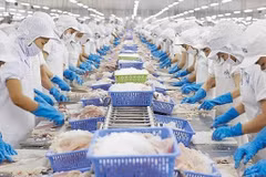 Le Vietnam est le 3e fournisseur de produits aquatiques des États-Unis