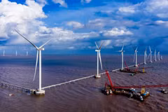Bên Tre et Tra Vinh développent leur économie maritime