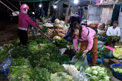 Développement d’un système de centres modernes d’approvisionnement des produits agricoles 