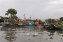 Renforcement de la sensibilisation à la lutte contre la pêche INN à Tiên Giang