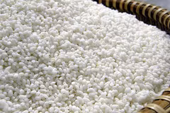 Hausse spectaculaire des exportations de riz gluant en 2016
