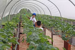 Vietnam, l’un des grands sites pour les investisseurs indiens 