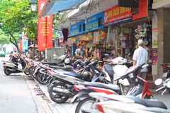 La rue des librairies Dinh Lê et la lecture papier chez les jeunes