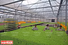 De nombreux obstacles pour le développement d’une agriculture high-tech 