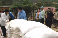 Têt lunaire 2017: plus de 1.100 tonnes de riz pour Gia Lai et Dak Lak