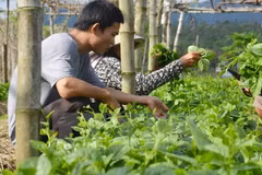 Agriculture : Dien Bien renforce la coopération avec des localités laotiennes