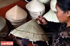 Le chapeau conique de la commune de Ngoc My