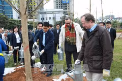 Hanoï : plantation de 100 arbres offerts par la Finlande