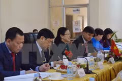 Vietnam-Cambodge: les Fronts de la Patrie renforcent leur coopération 