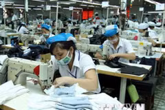 Dong Nai attire 52,4 millions de dollars d’IDE en janvier