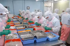 Renforcer la présence des produits vietnamiens sur le marché russe