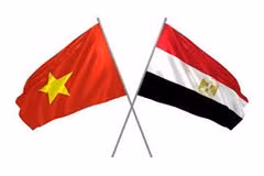 Le Vietnam et l'Egypte promeuvent le commerce et la connectivité des investissements