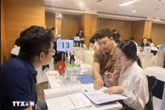 Les entreprises vietnamiennes et sud-coréennes recherchent des opportunités de coopération lors du programme organisé à Ho Chi Minh-Ville du 15 au 17 octobre. (Photo : VNA)