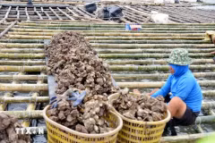 Aide sud-coréenne d'un million d’USD aux efforts de reconstruction post-typhon du Vietnam
