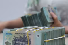 Selon les dernières données de la Banque d'État du Vietnam (SBV), à la fin du mois de juin 2024, le capital des banques privées était le double de celui des banques publiques. Photo : VNA