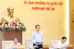 Le président de l’Assemblée nationale Trân Thanh Mân lors de la session. Photo : VNA