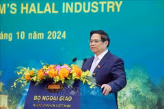 Le Premier ministre Pham Minh Chinh. Photo : VNA