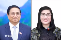 Le Premier ministre Pham Minh et son épouse. Photo VNA