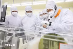 Le Premier ministre Pham Minh Chinh visite la ligne de production de puces semi-conductrices de Hana Micro Vina Co., Ltd. Photo: VNA