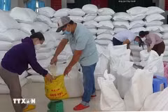 Plus d'un millier de tonnes de riz attribués à cinq localités. Photo: VNA