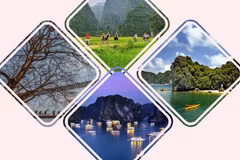 Quatre expériences intéressantes à faire lors d'un voyage au Vietnam