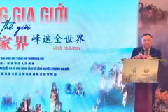 Zheng Dawei, conseiller culturel de l'ambassade de Chine au Vietnam, prend la parole lors de l'événement. Photo: VNA