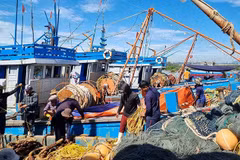 Le Vietnam s'efforce de développer une pêche durable et moderne d'ici 2050