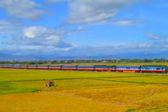 Le secteur ferroviaire devrait connaître de nombreux développements d’infrastructures et des changements dans les modèles de production et d’affaires. Photo: VietnamPlus