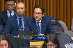Le vice-ministre vietnamien des Affaires étrangères Do Hung Viet prend la parole lors de l'événement. Photo: VNA