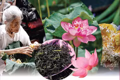 L’artisanat de fabrication du thé au lotus de Quang An classé au patrimoine 