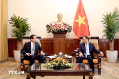 Le vice-PM et ministre des AE Bui Thanh Son (à droite) reçoit le nouvel ambassadeur de Chine au Vietnam He Wei. Photo: VNA