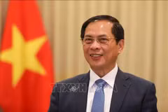Le vice-Premier ministre et ministre des Affaires étrangères Bui Thanh Son. Photo: VNA