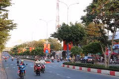 Nouvelle Ruralité : Ba Ria-Vung Tau s'efforce d’augmenter son taux de communes répondant aux normes avancées