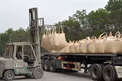 Exportations de 19,5 millions de tonnes de ciment et clinker en 7 mois