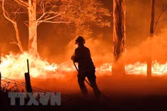 Message de sympathies à l'Australie pour les incendies de forêt