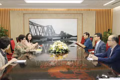 Le vice-PM Vu Duc Dam reçoit le directeur de l'ONUSIDA au Vietnam