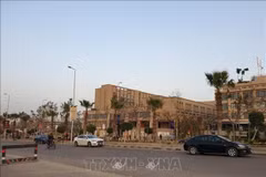 Les Vietnamiens en Égypte s’unissent au moment de la pandémie de COVID-19
