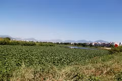 Achèvement de la décontamination de l'aéroport de Da Nang (deuxième phase)