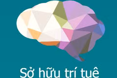La WIPO aide le Vietnam à développer la propriété intellectuelle