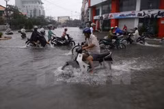Le Japon soutient le Vietnam dans la réduction des émissions de CO2