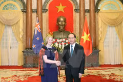 Le président vietnamien reçoit de nouveaux ambassadeurs